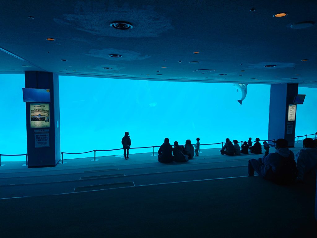 名古屋港水族館　イルカ　お勧め　デート　お出かけ　こども