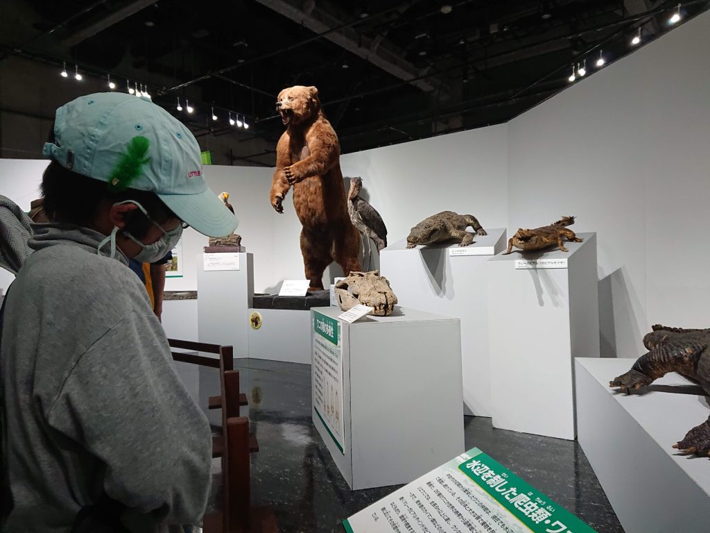 大地のハンター展。白亜紀の巨大ワニ！ なんと12メートルの復元模型。撮影スポット　名古屋市科学館　デート