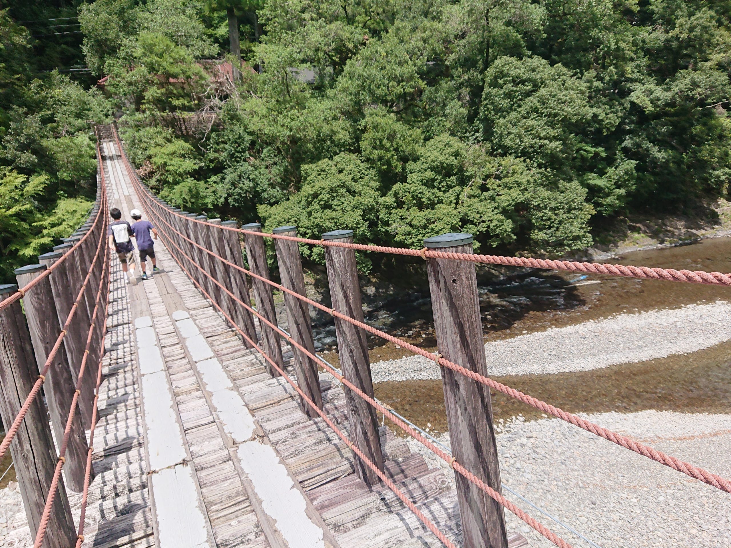 和歌山　道の駅 龍神(ウッディプラザ木族館)裏、龍神の吊橋