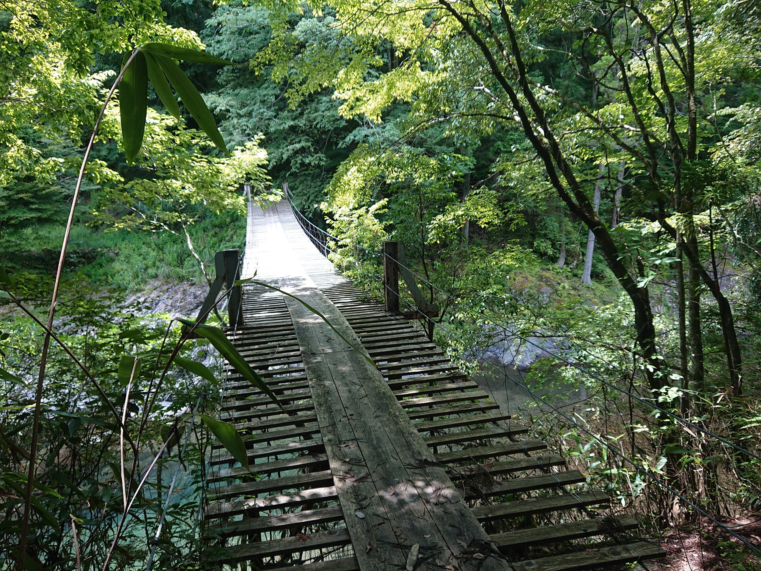 津越の吊橋　和歌山