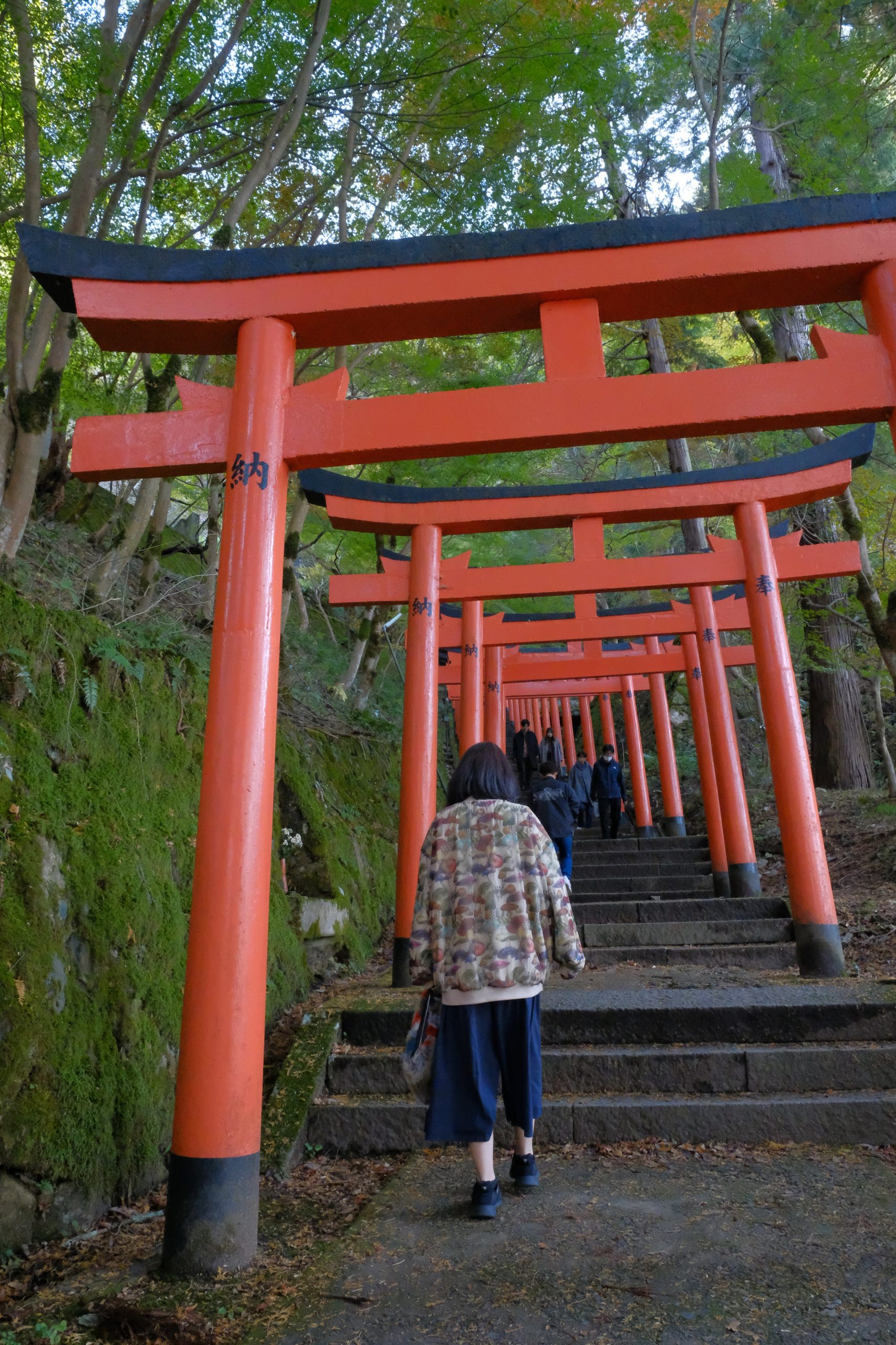 出石　城下町　観光　鳥居　おすすめ