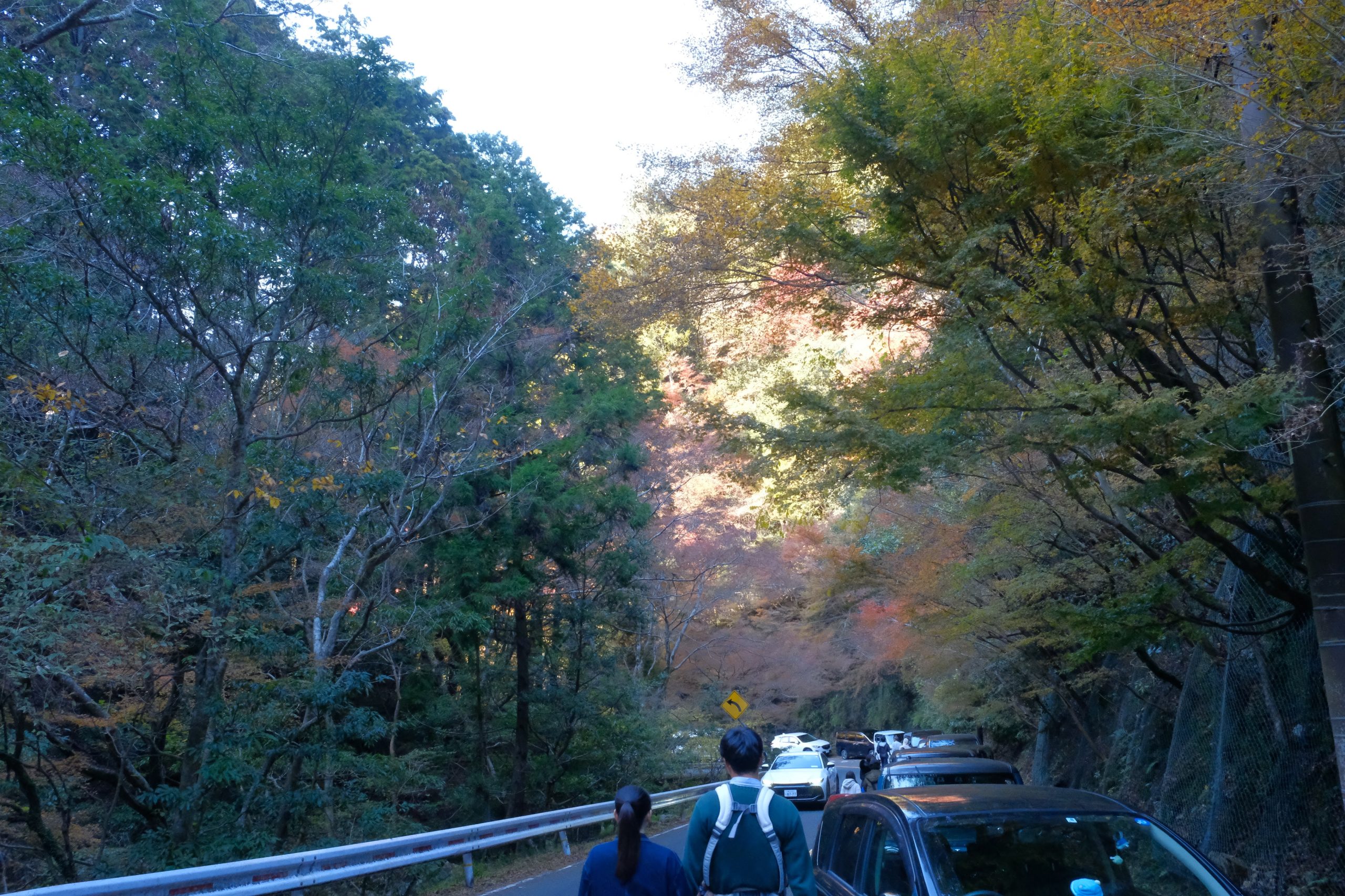 駐車場　大阪　紅葉　おすすめ　ライトアップ　箕面大滝　デート