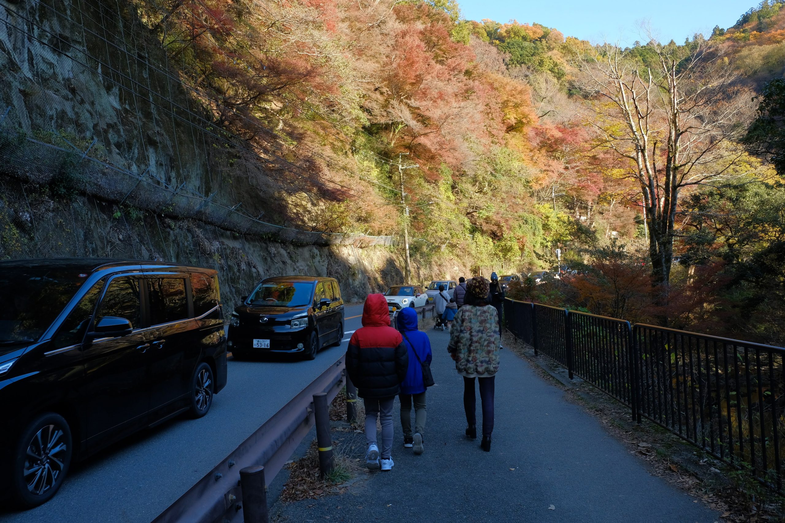 駐車場　大阪　紅葉　おすすめ　ライトアップ　箕面大滝　デート