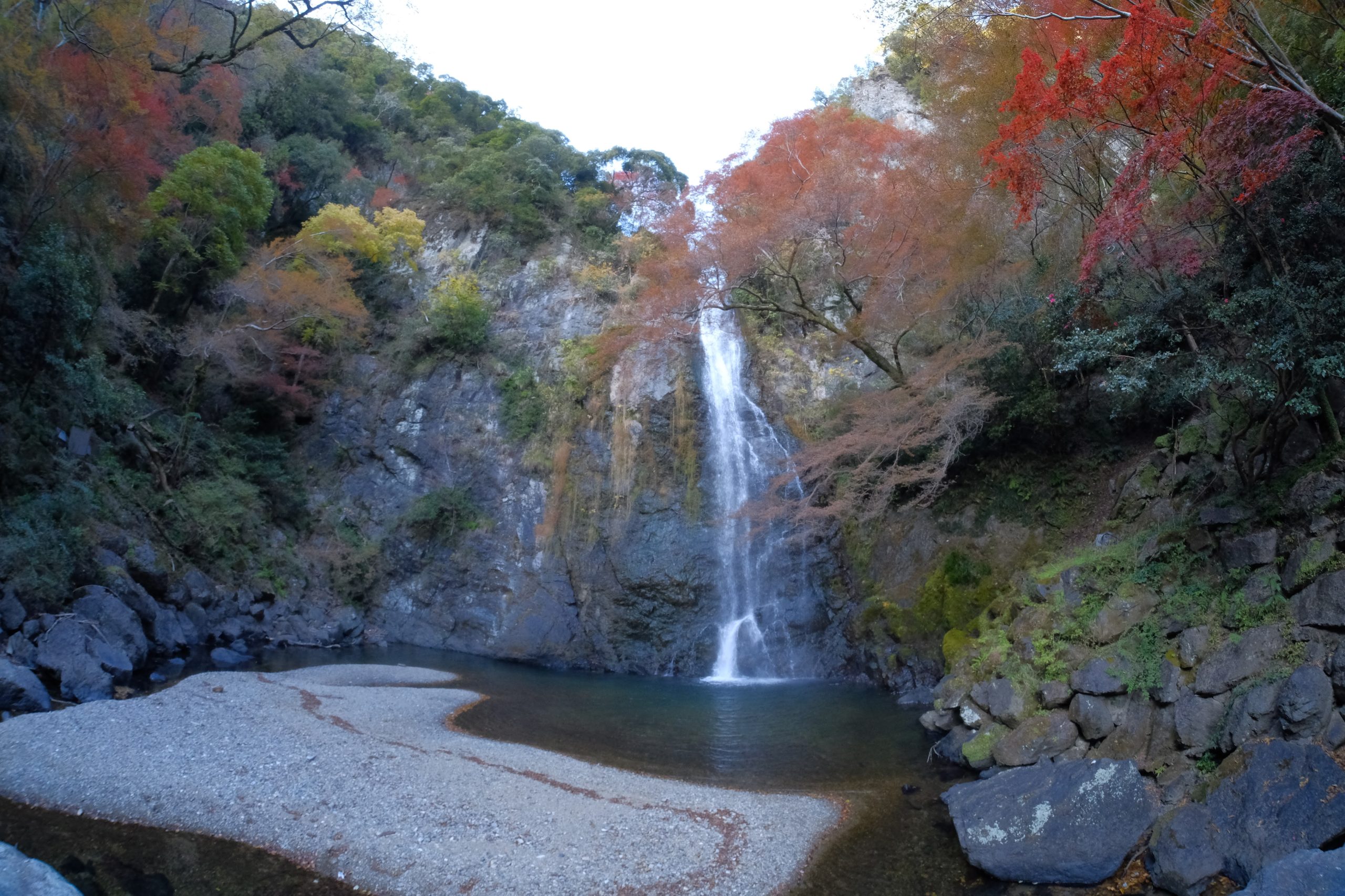 大阪　紅葉　おすすめ　ライトアップ　箕面大滝　デート