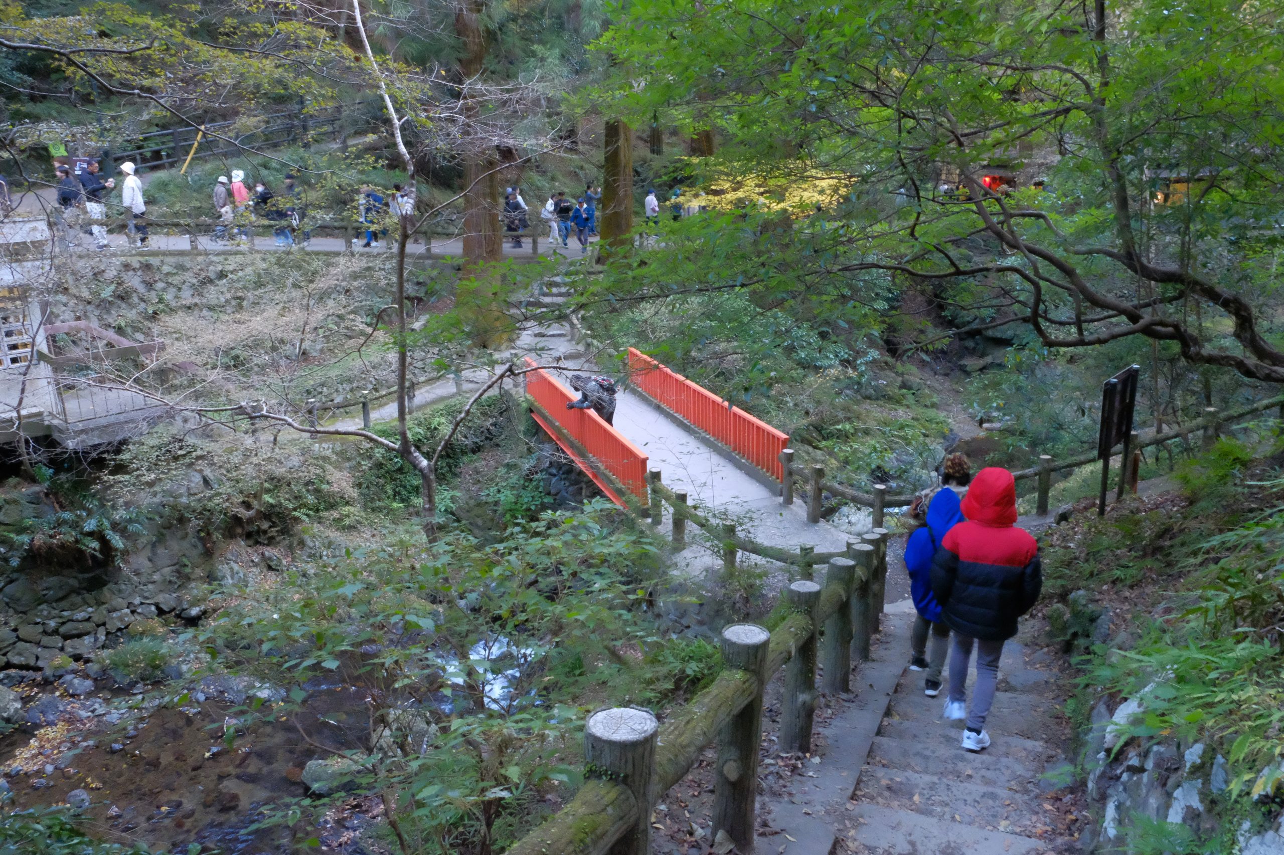 大阪　紅葉　おすすめ　ライトアップ　箕面大滝　デート