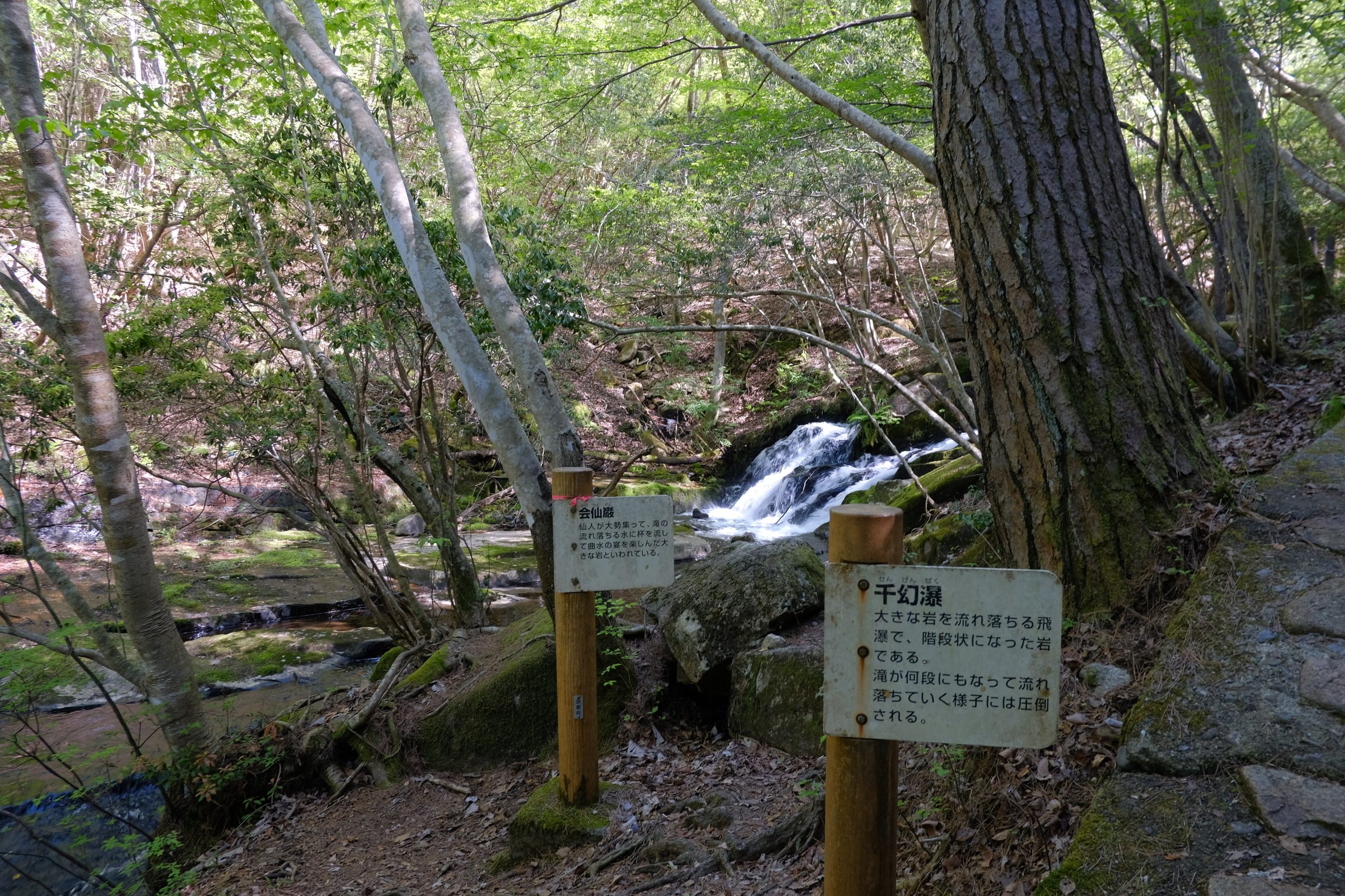 京都府立るり渓自然公園　散策コース　駐車場　滝　マイナスイオン