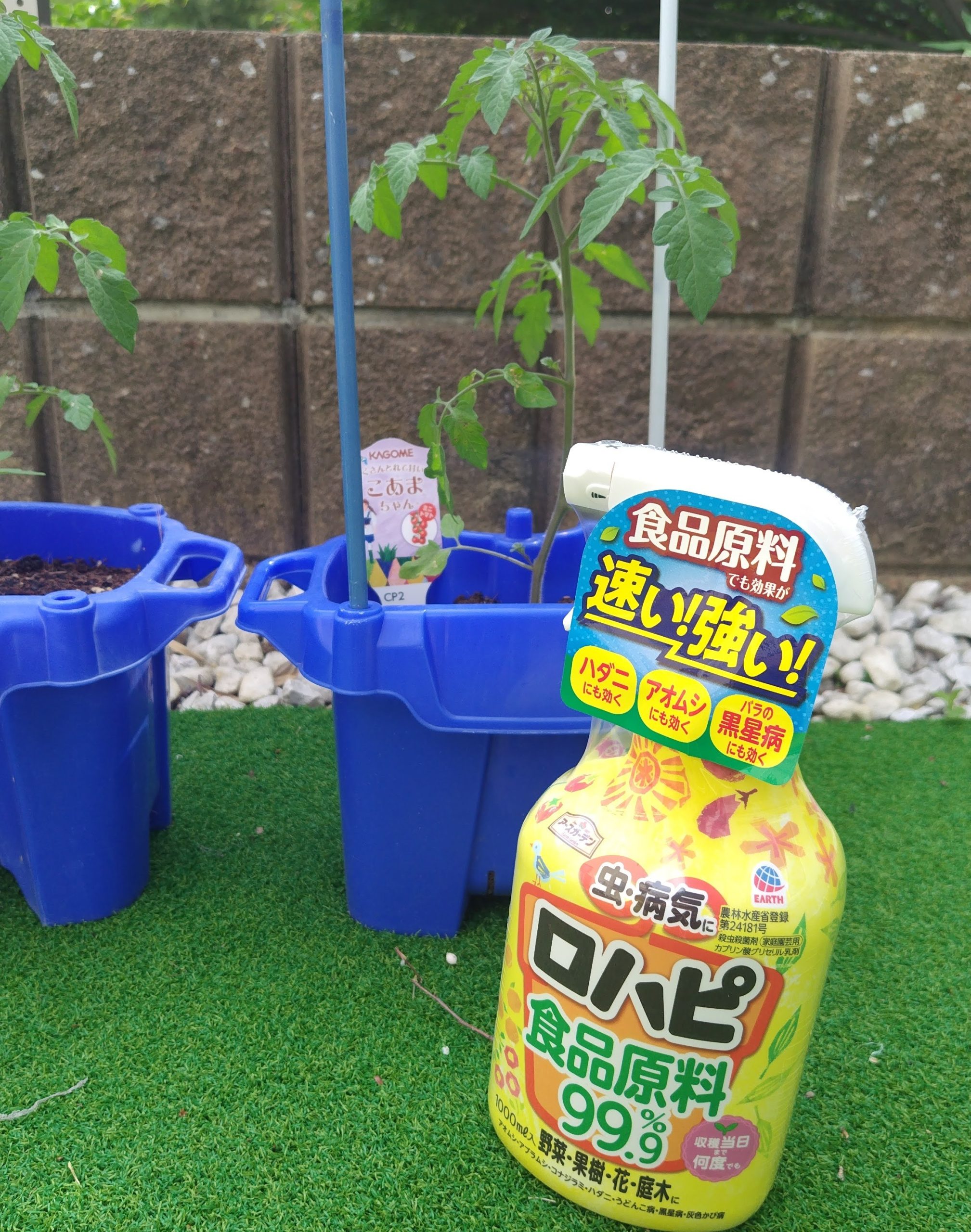 家庭菜園初心者　害虫対策　ロハピ　口コミ　おすすめ