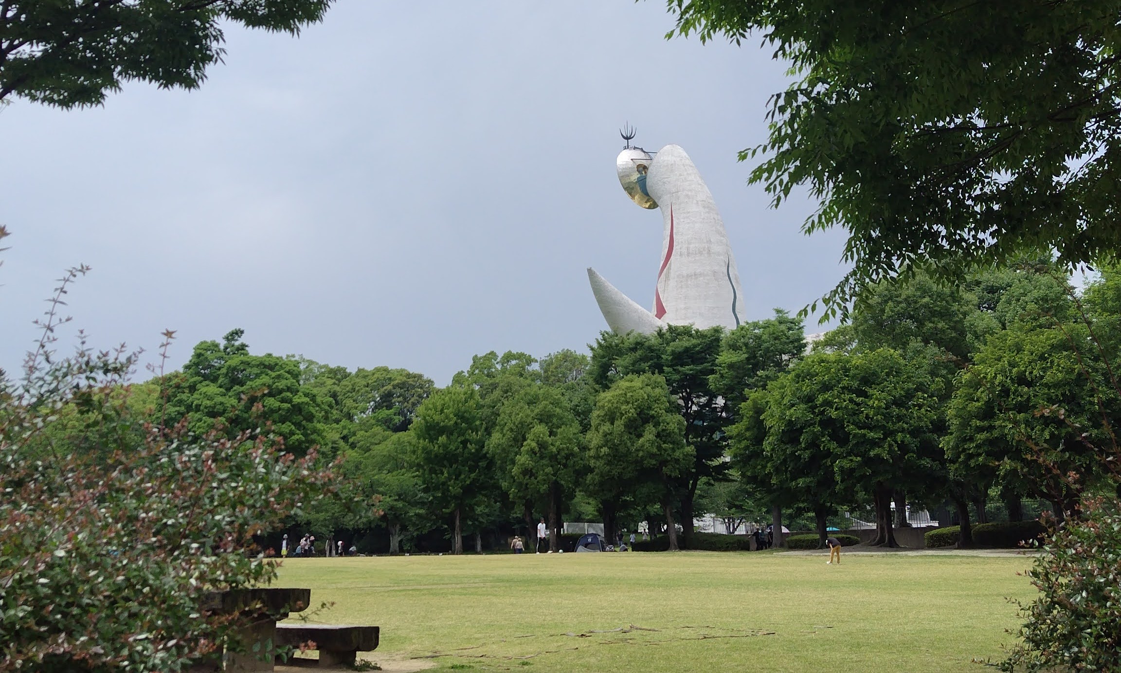万博記念公園　あじさいの森 無料　紫陽花　アジサイ