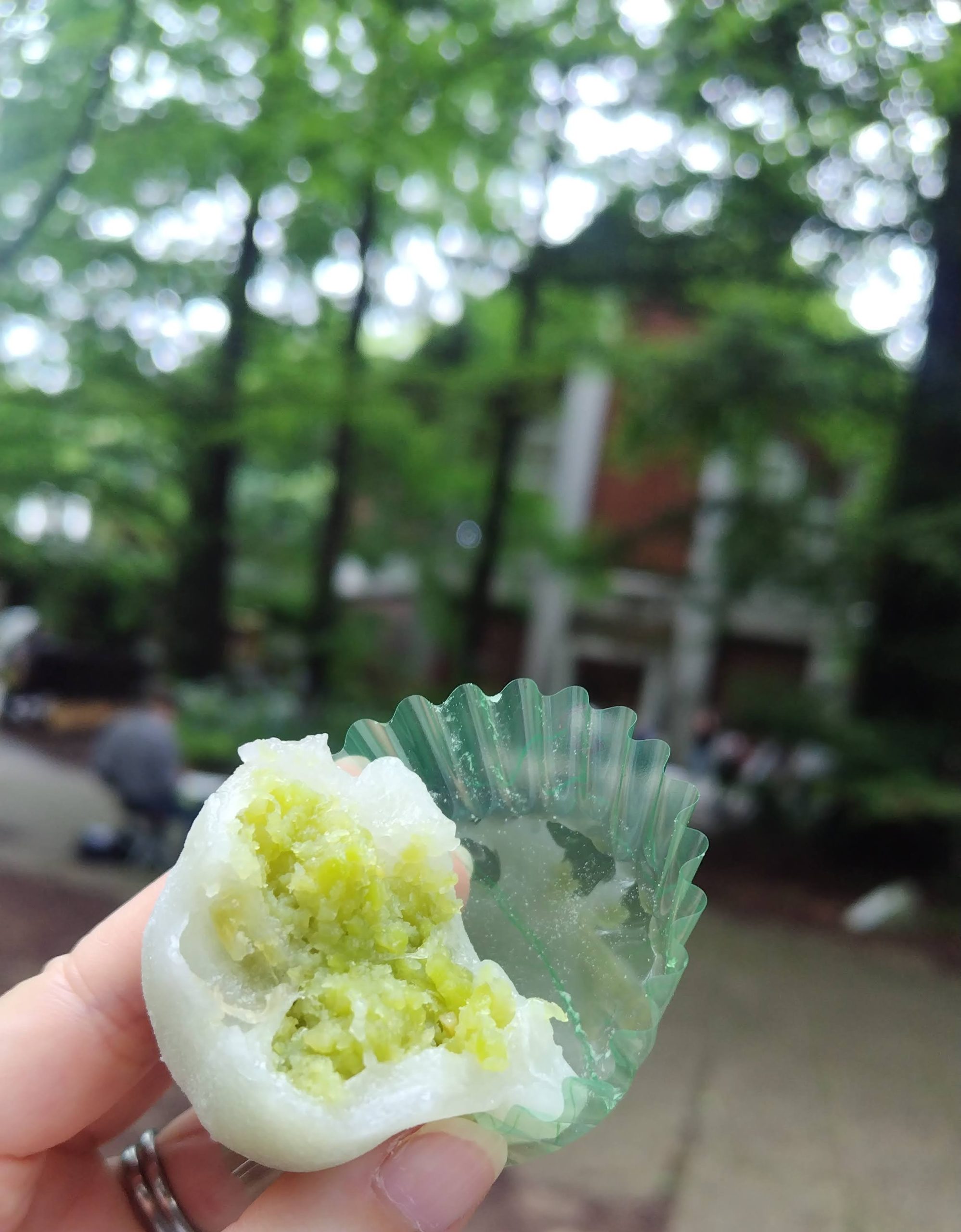 和菓子　神戸　おすすめ　鈴蘭台　名物　神戸市立森林植物園　グルメ　デザート　KOBE