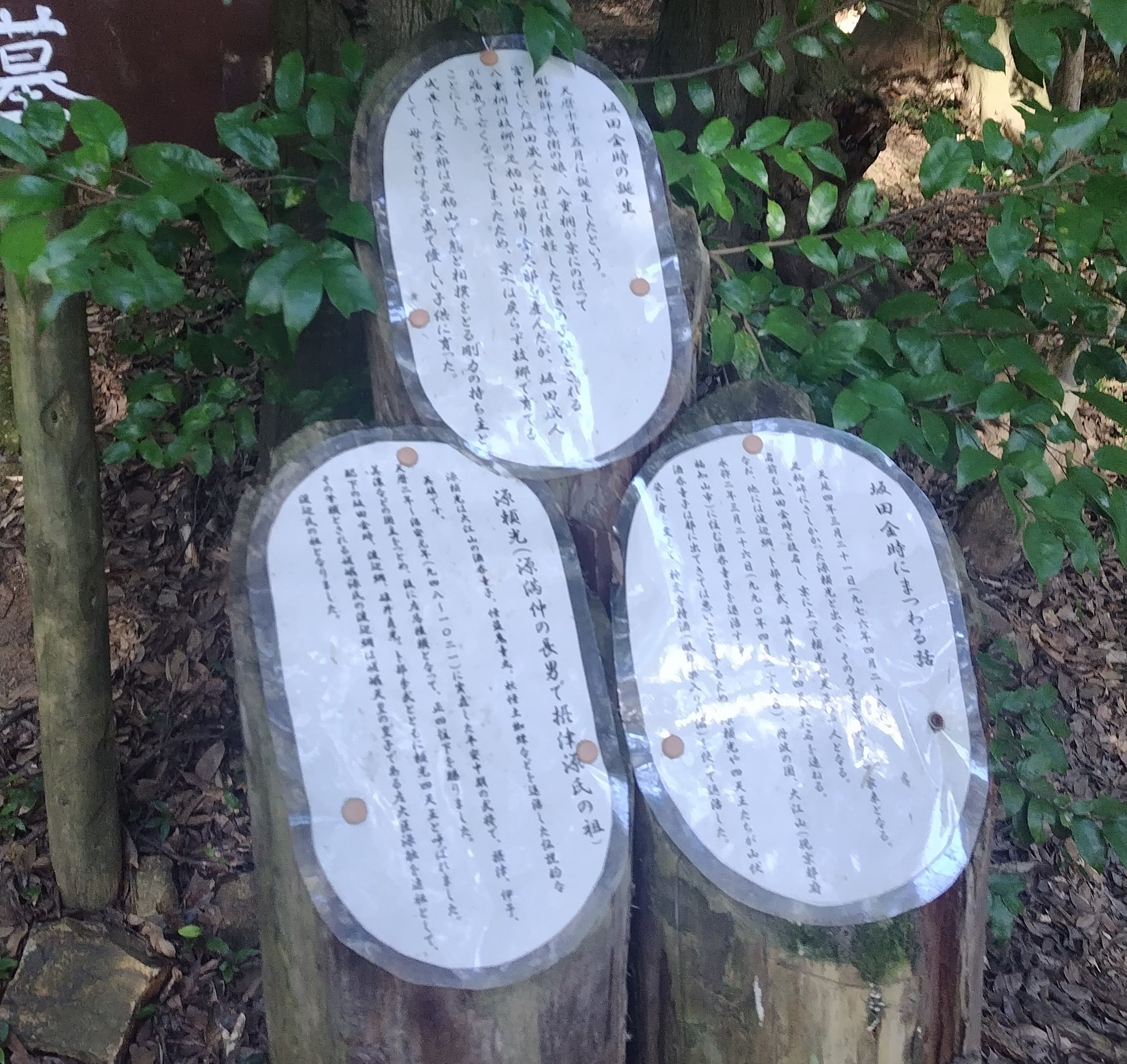 坂田金時のお墓！ちょっとドキッとする銀魂ファンもいるはず？！　金さん　銀さん